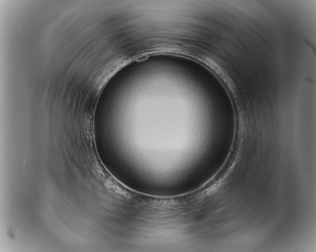 X0000100781001200806261625