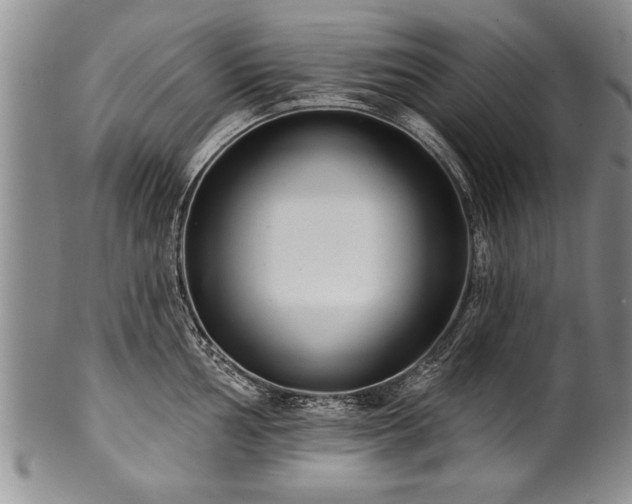 X0000100781002200806261625