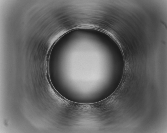 X0000100781003200806261625