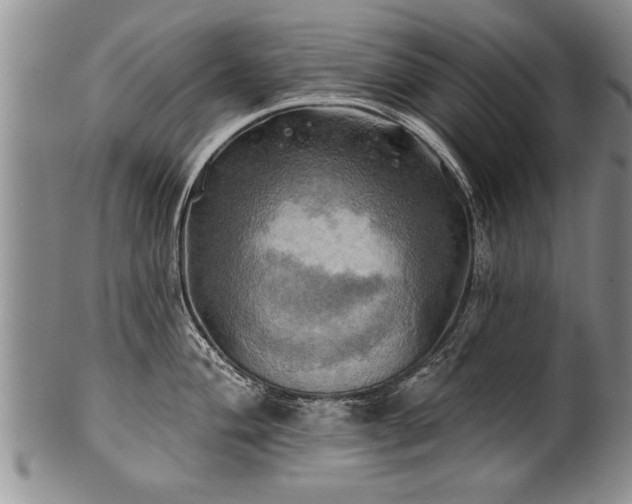 X0000100781004200806261625