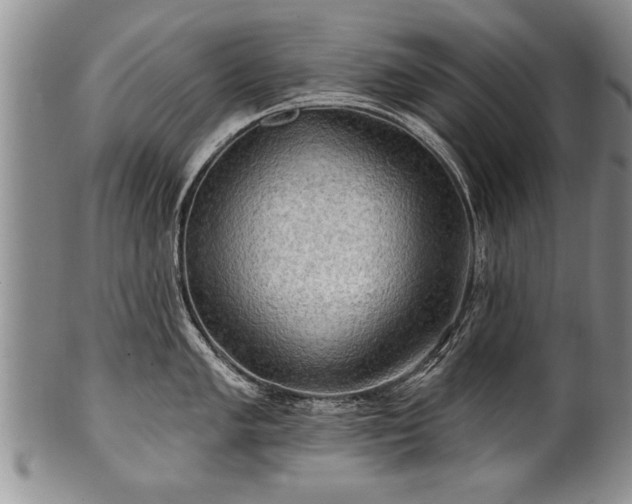 X0000100781005200806261625