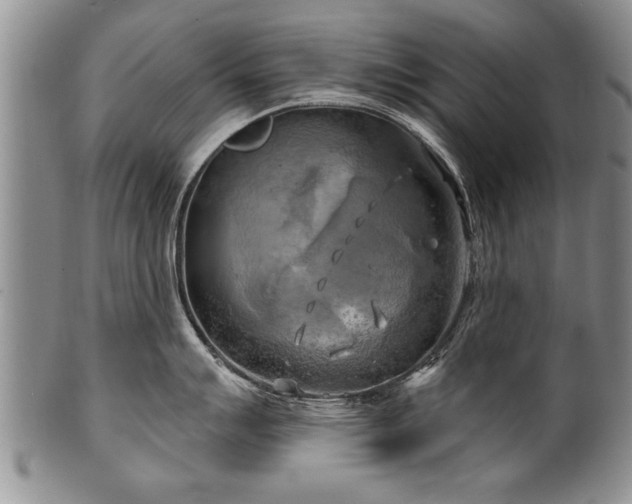 X0000100781007200806261625