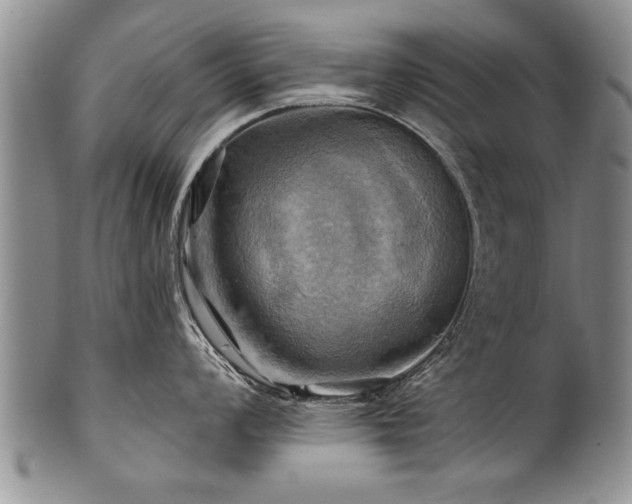 X0000100781008200806261625