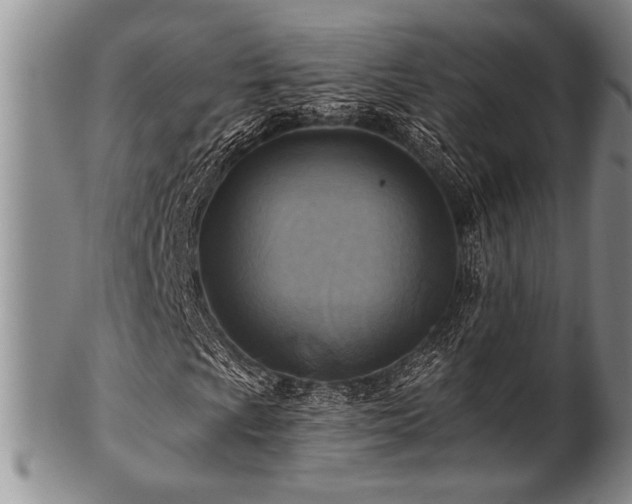 X0000100781009200806261624