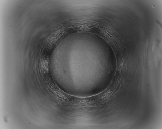 X0000100781010200806261624