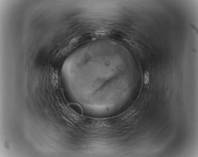 X0000100781011200806261624