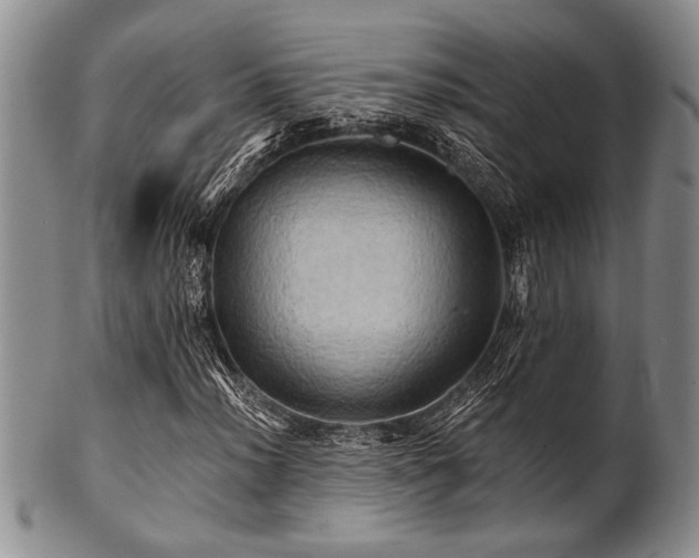 X0000100781012200806261624