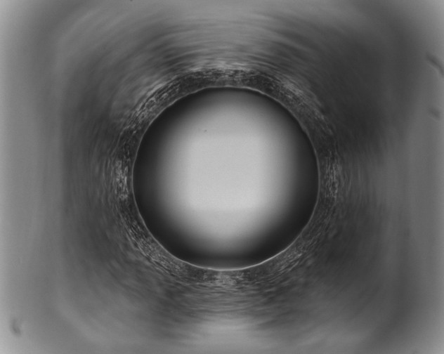 X0000100781013200806261624