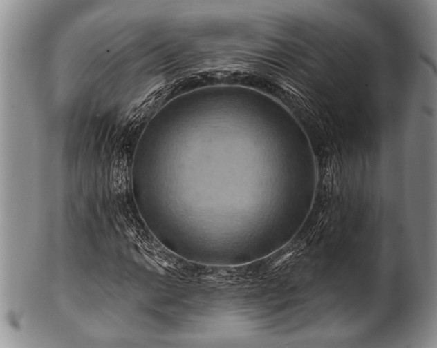 X0000100781014200806261624