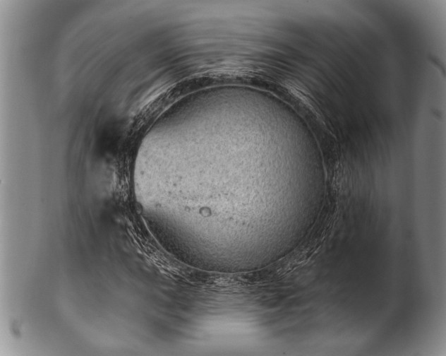 X0000100781015200806261624