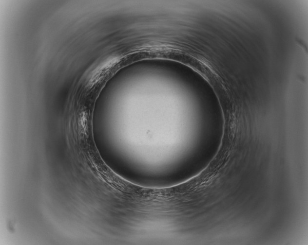 X0000100781016200806261624