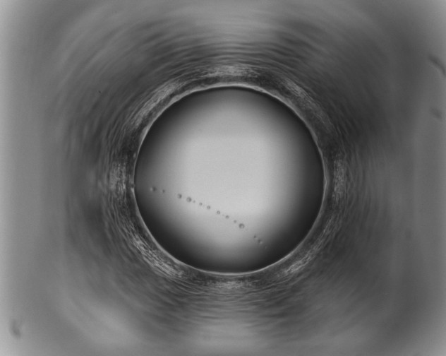 X0000100781017200806261624