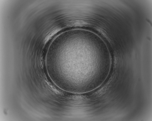 X0000100781018200806261624