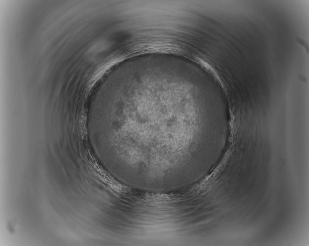 X0000100781019200806261624