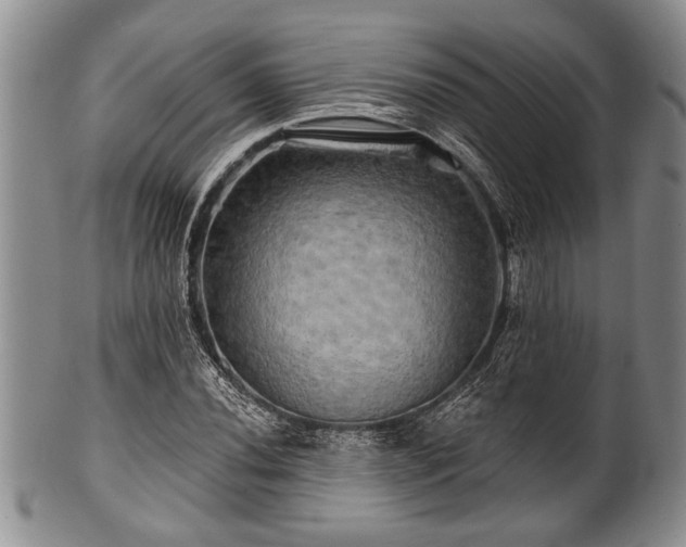 X0000100781020200806261624