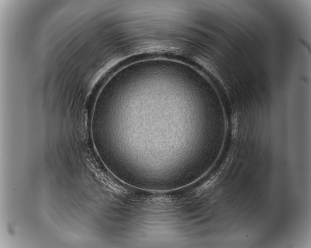 X0000100781021200806261624