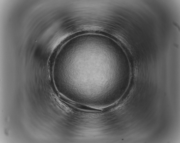 X0000100781022200806261624