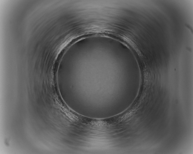 X0000100781023200806261624