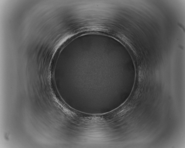 X0000100781024200806261624