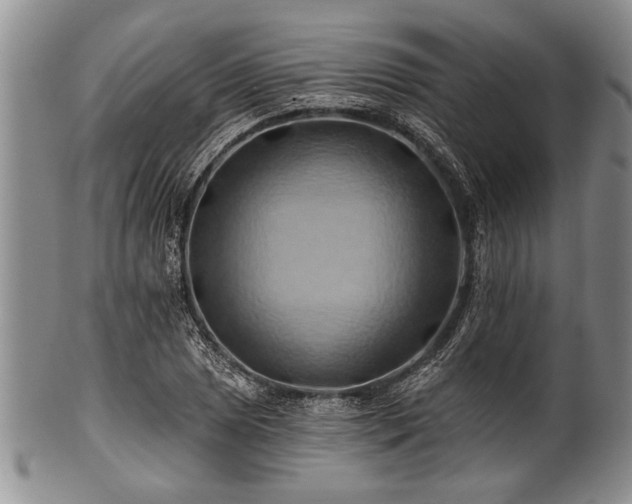 X0000100781025200806261624