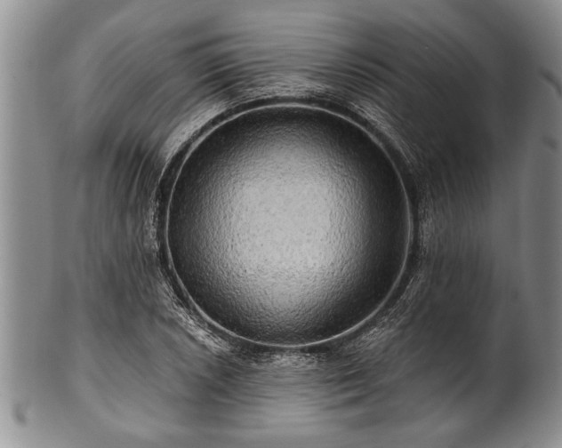 X0000100781026200806261624