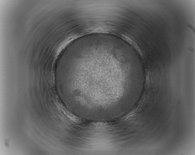 X0000100781027200806261624