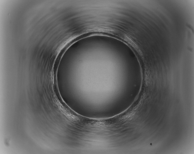 X0000100781028200806261624