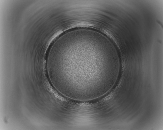 X0000100781029200806261624