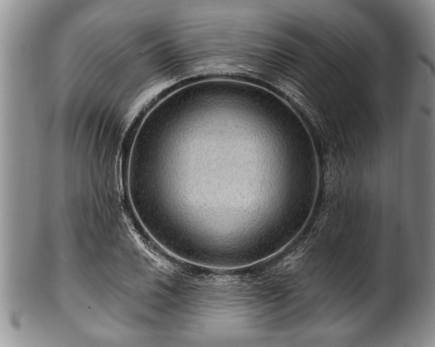 X0000100781030200806261624