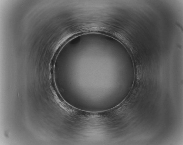 X0000100781031200806261624