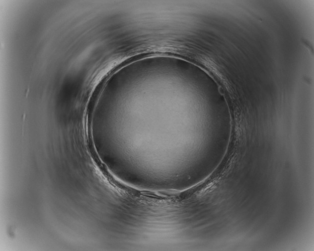 X0000100781032200806261624