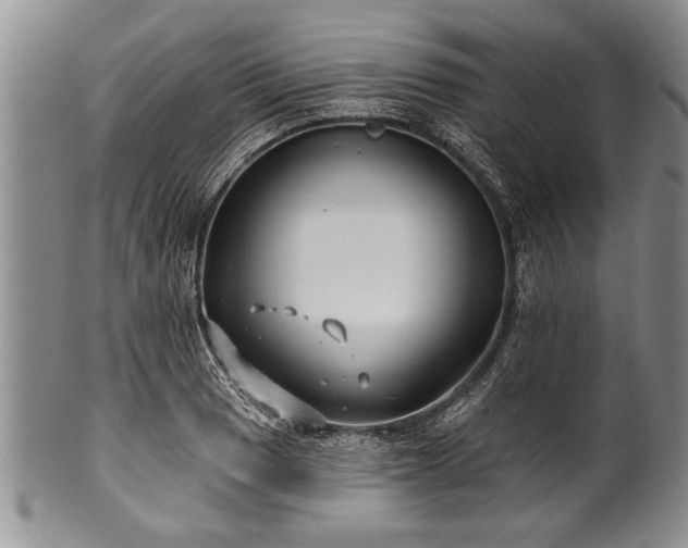 X0000100781033200806261624