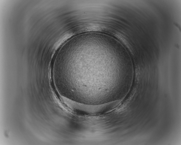 X0000100781034200806261624