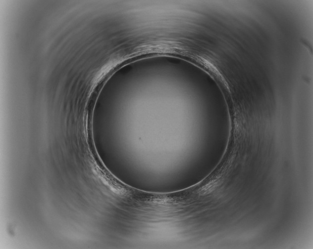 X0000100781035200806261624