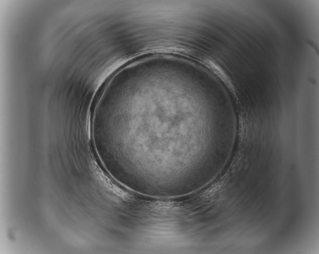 X0000100781036200806261624