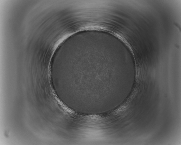 X0000100781037200806261624