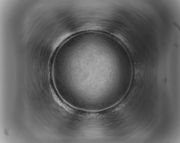 X0000100781038200806261624