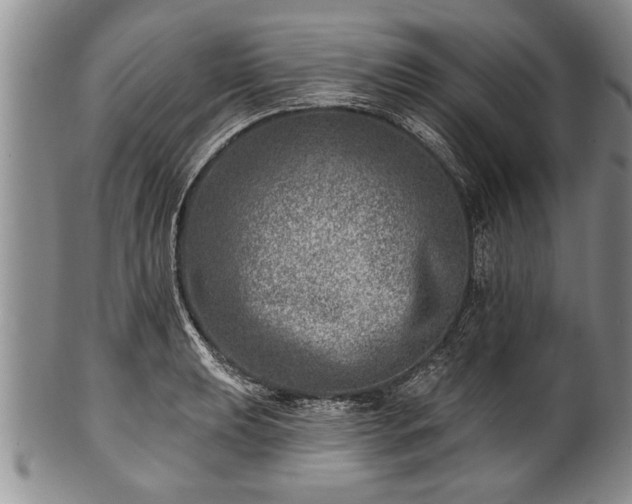 X0000100781039200806261624