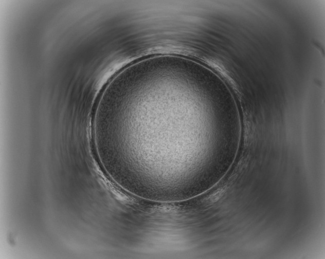 X0000100781040200806261624