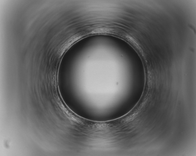 X0000100781041200806261624