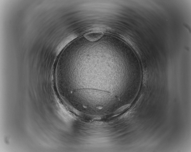 X0000100781042200806261624