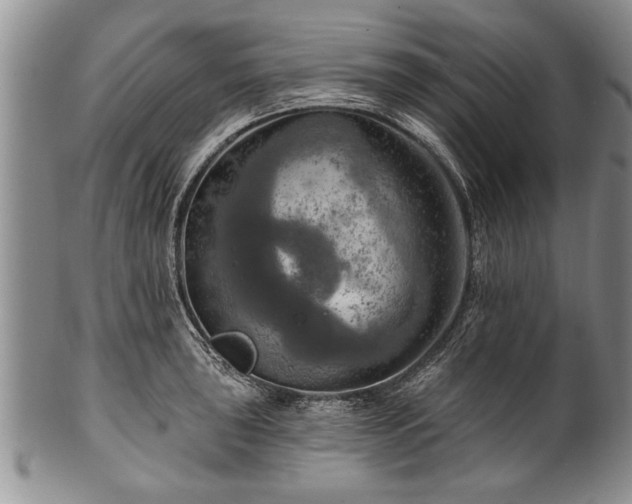 X0000100781043200806261624