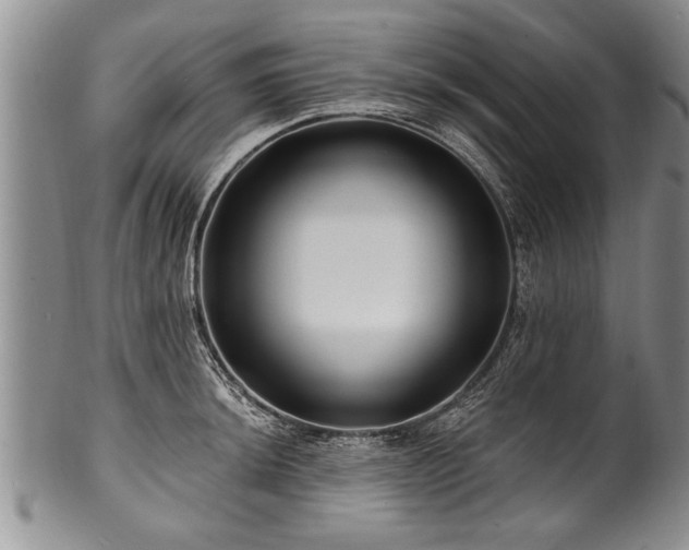 X0000100781044200806261624