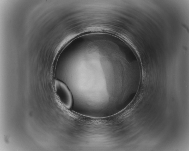 X0000100781045200806261624