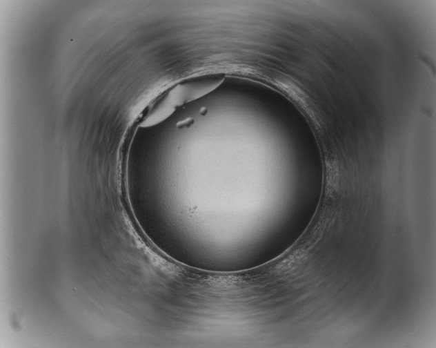 X0000100781046200806261624