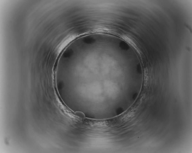 X0000100781047200806261624