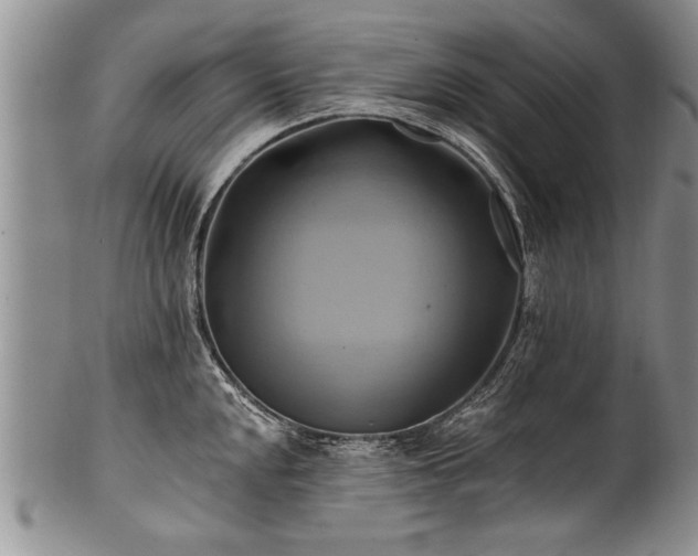 X0000100781048200806261624