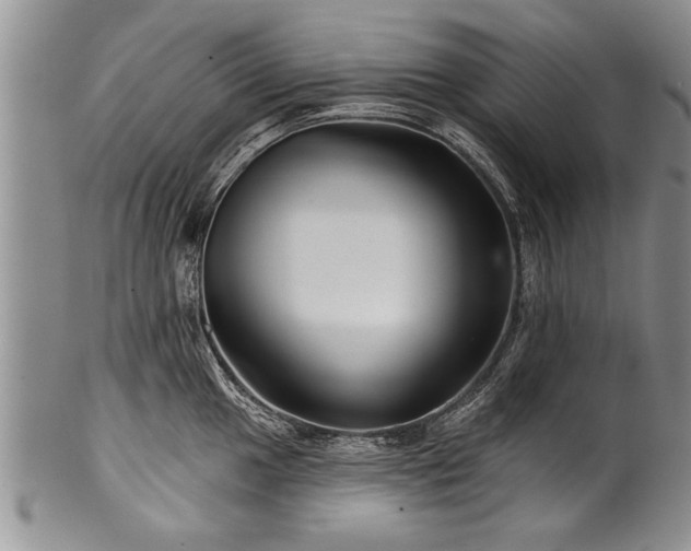 X0000100781049200806261625