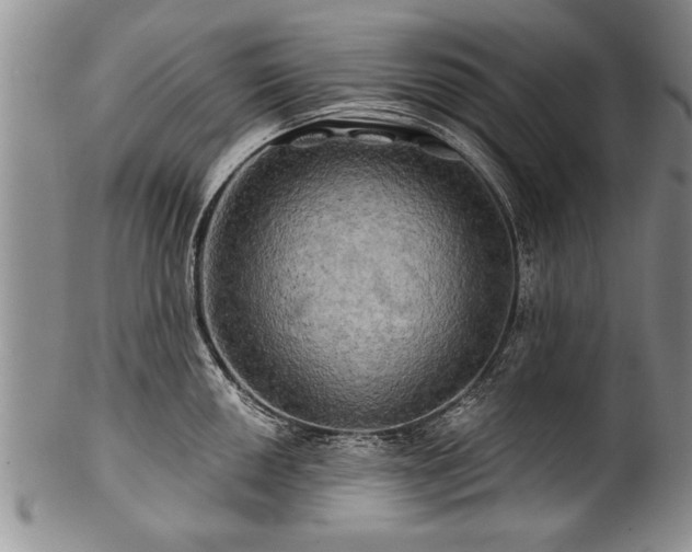 X0000100781050200806261625