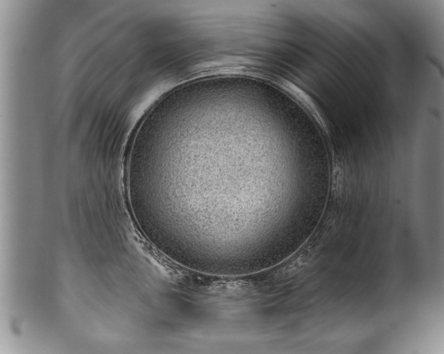 X0000100781051200806261625